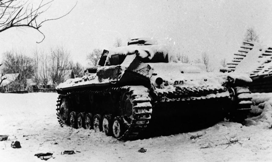Как наши мыши «воевали» против немецких танков