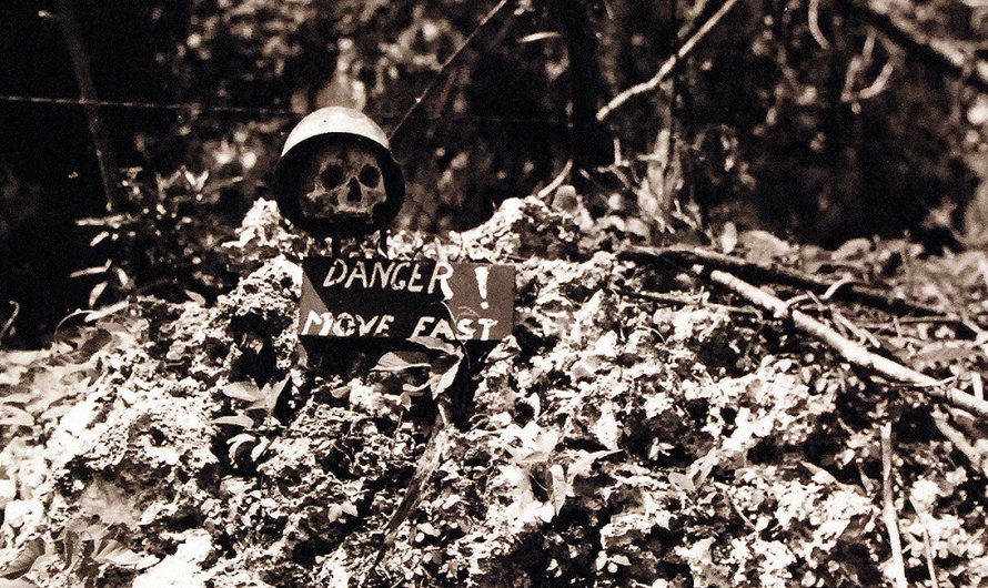 1944   Битва за остров Пелелиу. Разбитый нос морской пехоты США